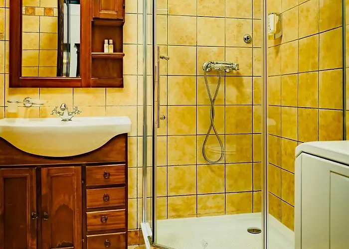 Apartment Joy Platinum Timişoara